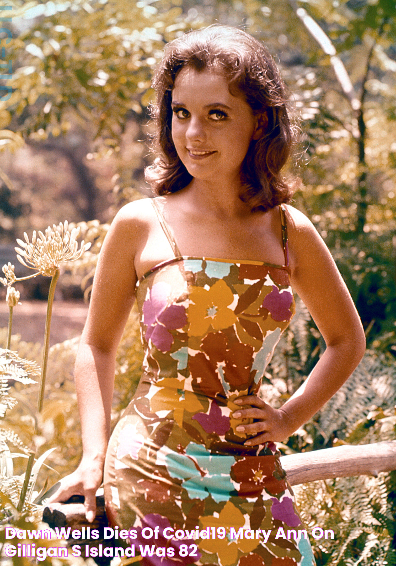 Dawn Wells Dies Of Covid19 Mary Ann On ‘Gilligan’s Island’ Was 82