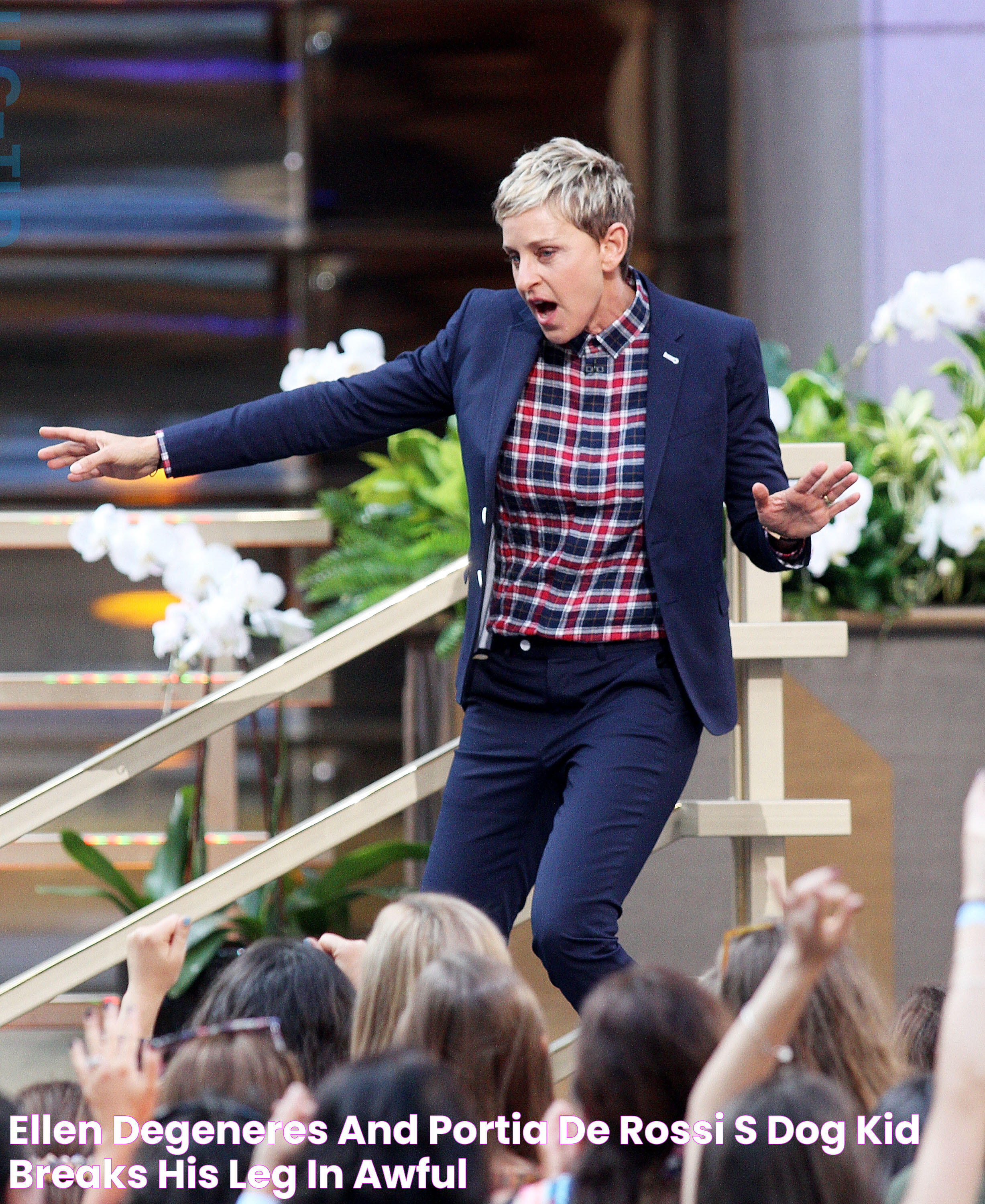 Ellen DeGeneres and Portia de Rossi's dog Kid breaks his leg in 'awful