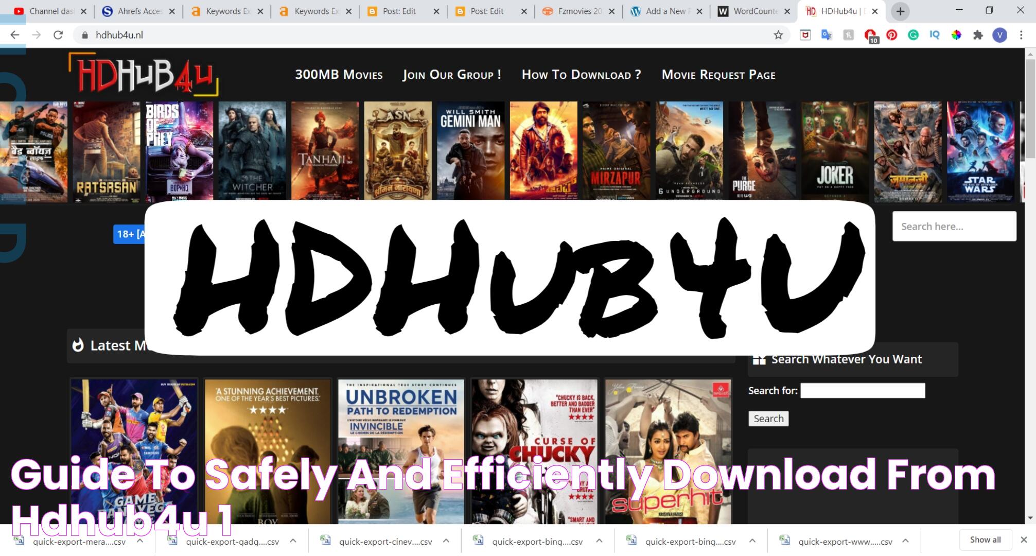 Guide To Safely And Efficiently Download From HDHub4u