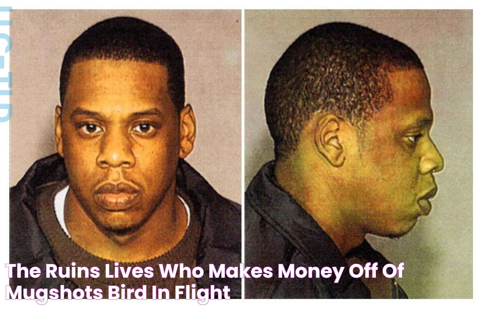 The Ruins Lives Who Makes Money Off Of Mugshots — Bird In Flight