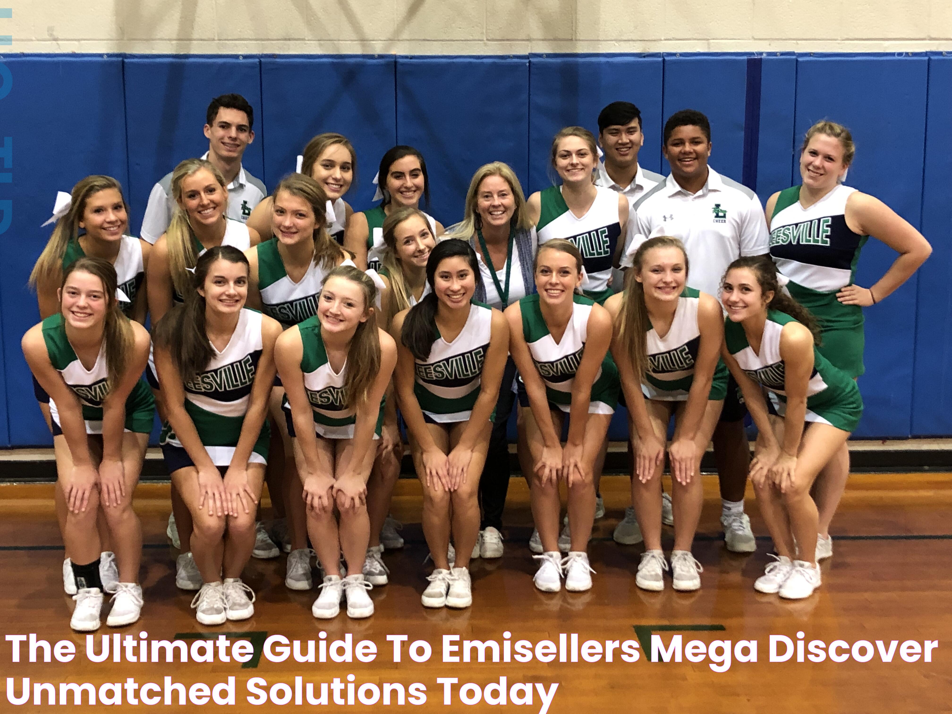 The Ultimate Guide To EMISellers Mega Discover Unmatched Solutions Today!