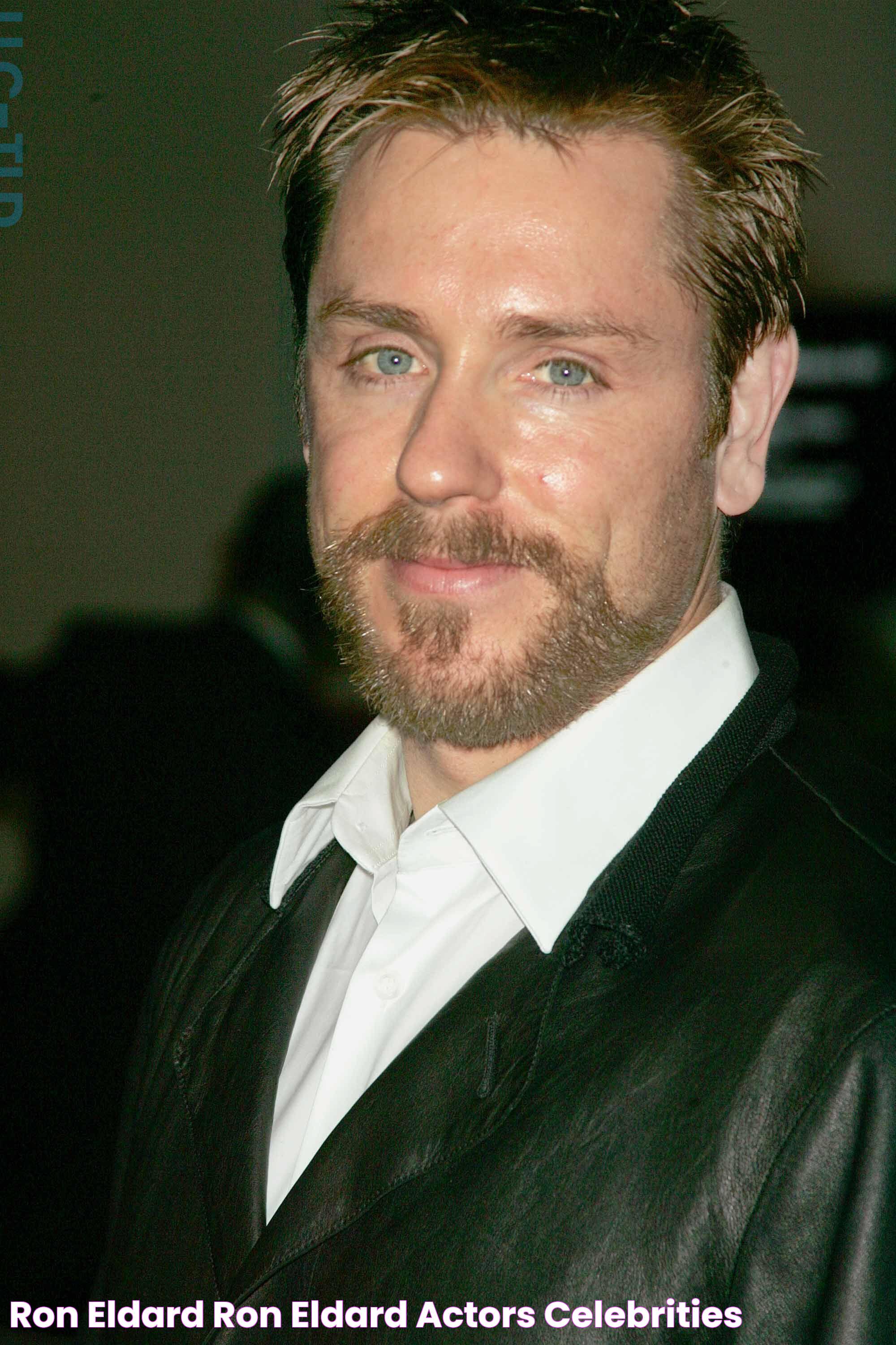 Ron Eldard Ron eldard, Actors, Celebrities