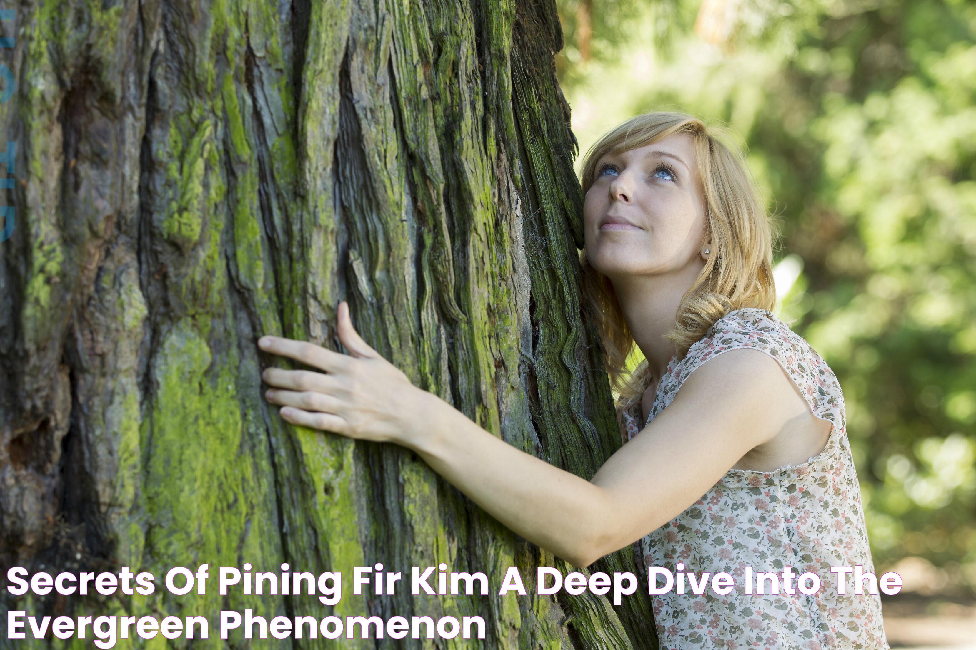 Secrets Of Pining Fir Kim A Deep Dive Into The Evergreen Phenomenon