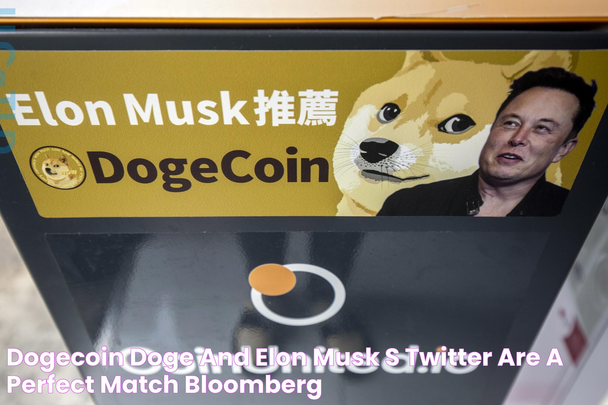 Dogecoin (DOGE) and Elon Musk's Twitter Are a Perfect Match Bloomberg