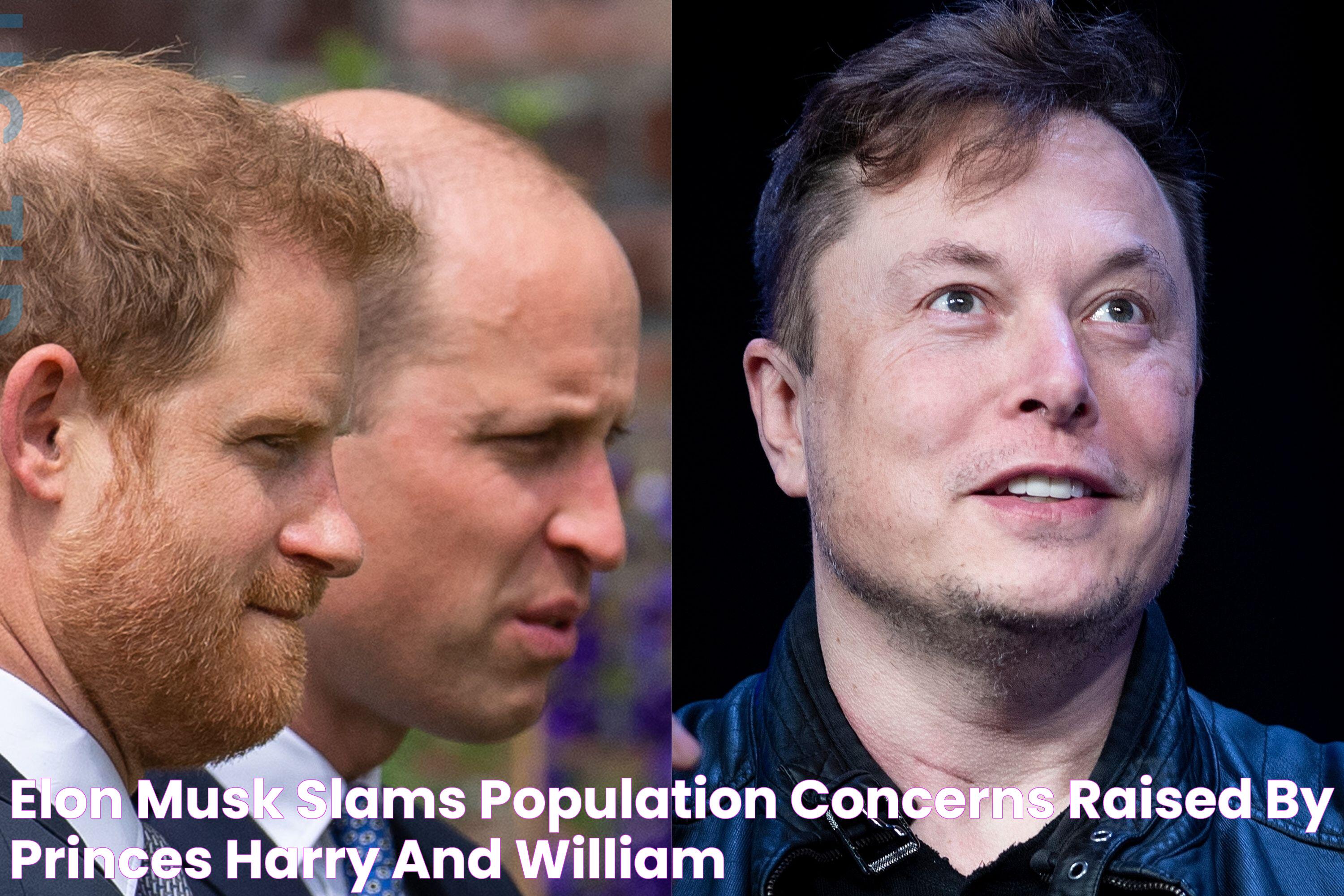 Elon Musk Slams Population Concerns Raised by Princes Harry and William