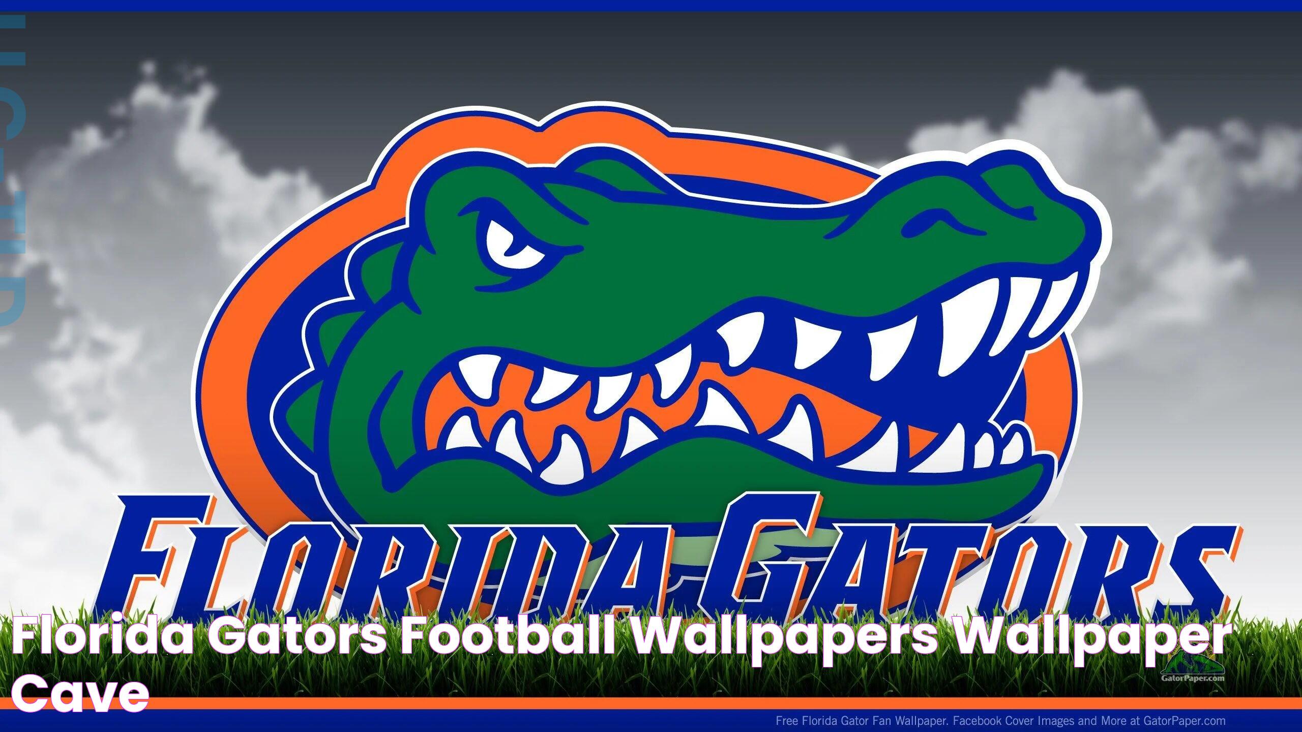 Florida Gators Football Wallpapers Wallpaper Cave