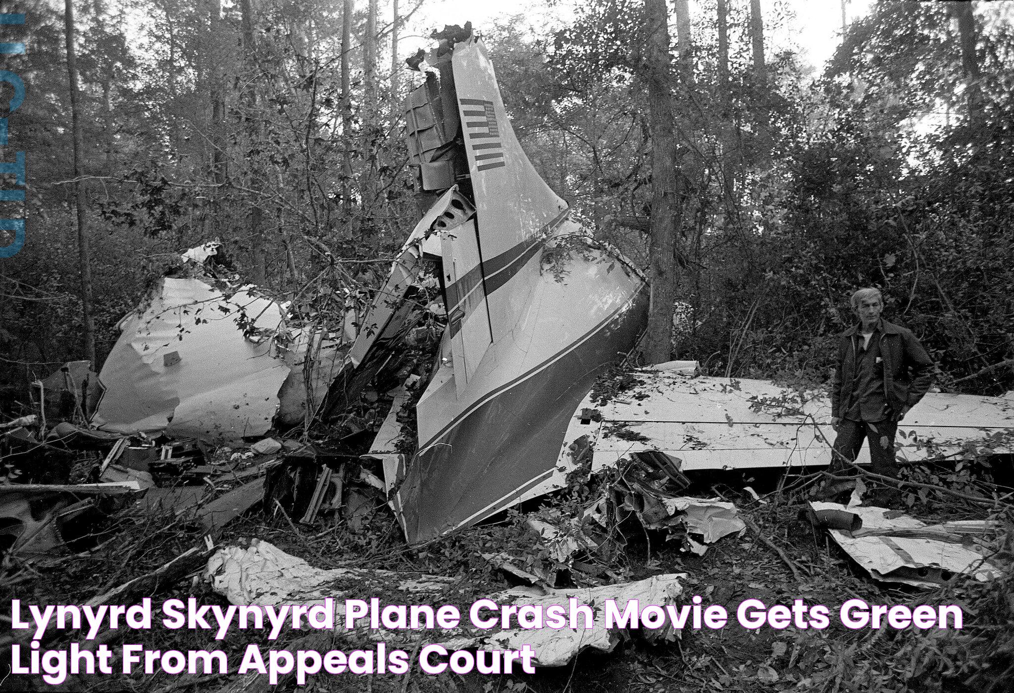 Lynyrd Skynyrd Plane Crash Movie Gets Green Light From Appeals Court