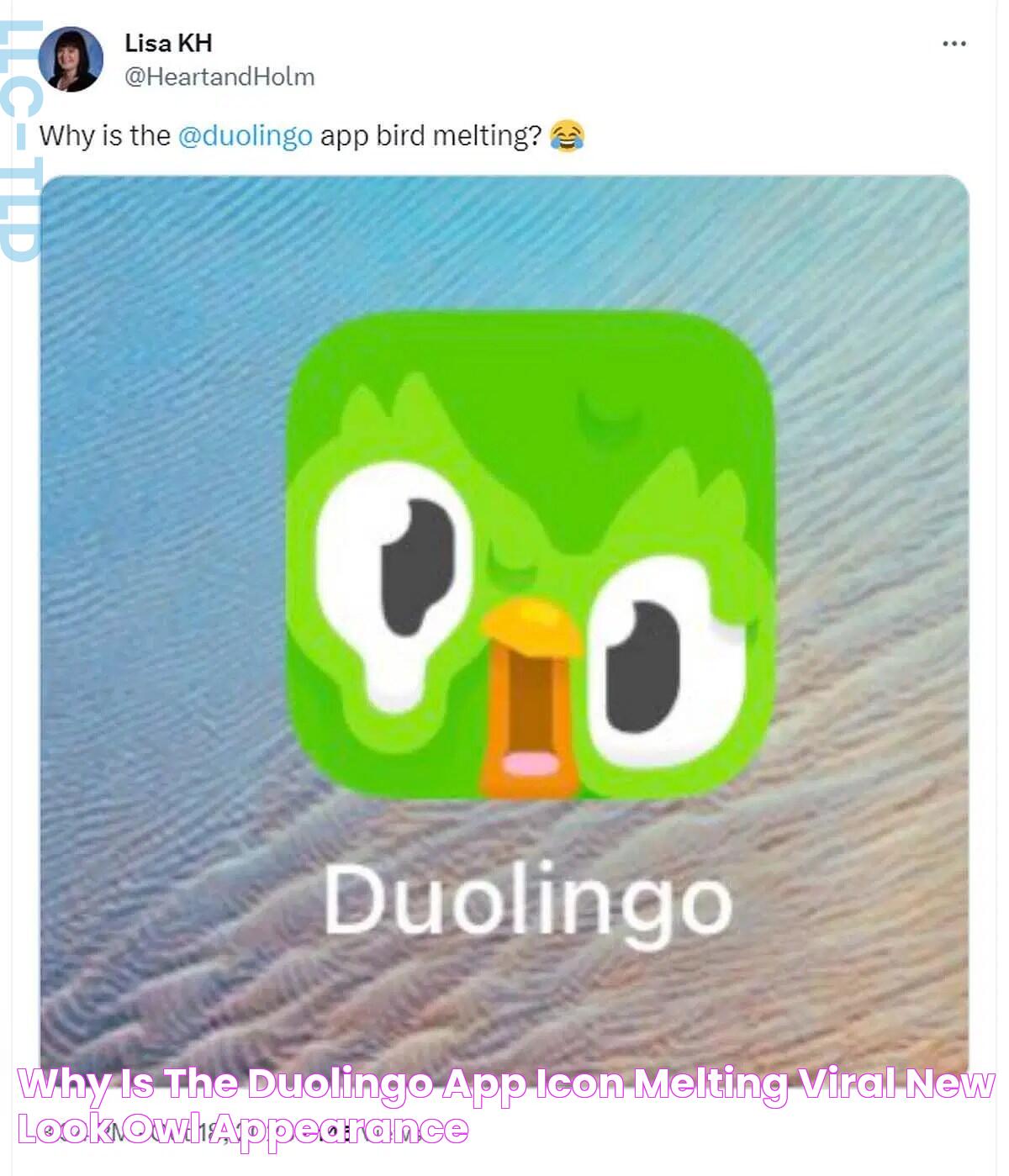 Why is the Duolingo app icon melting? Viral new look owl appearance