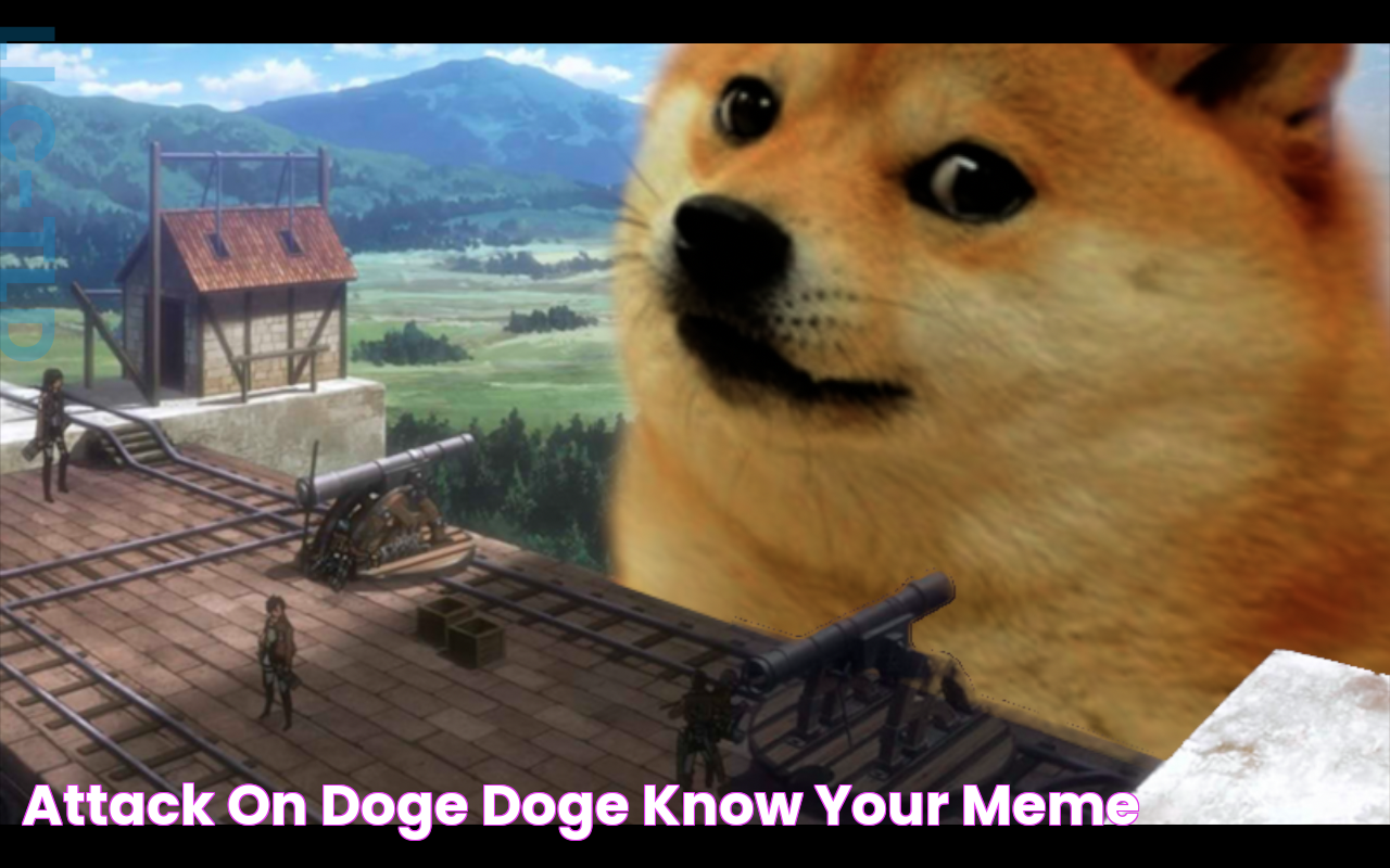 Attack on Doge Doge Know Your Meme