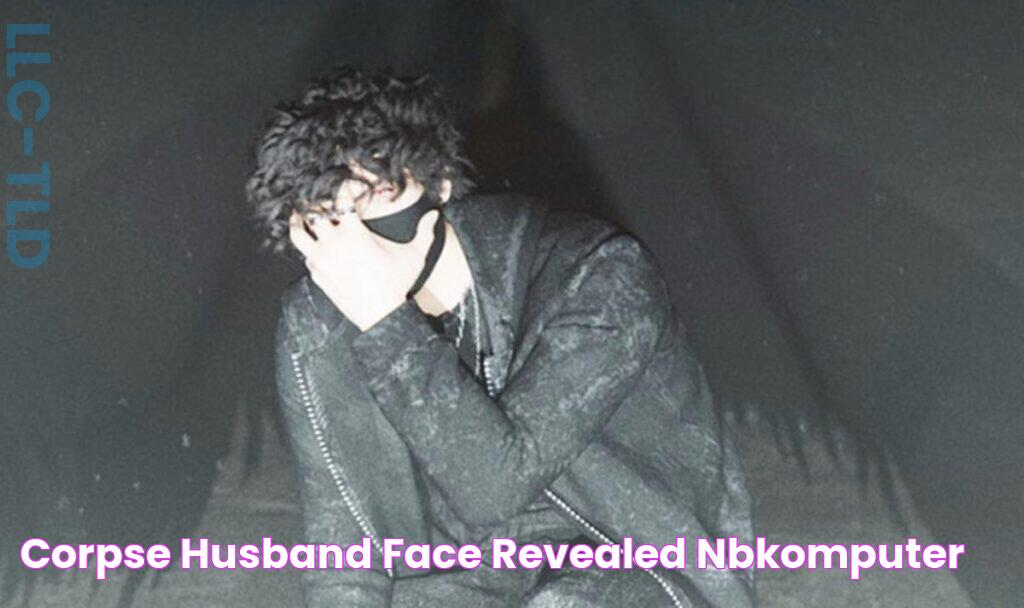 Corpse Husband Face Revealed NBKomputer