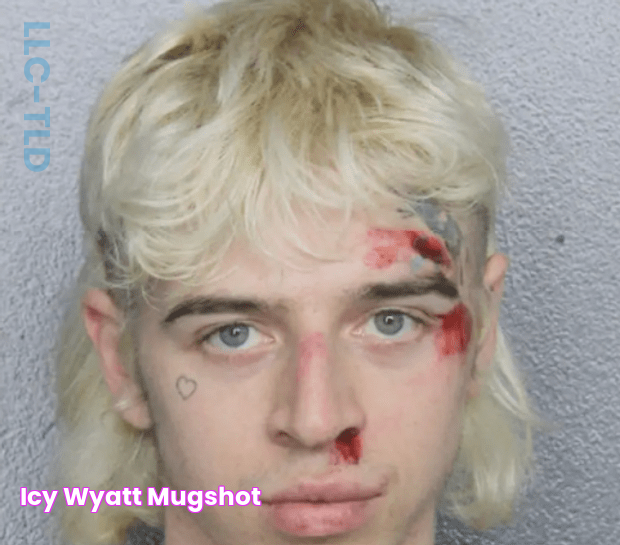 Icy Wyatt Mugshot