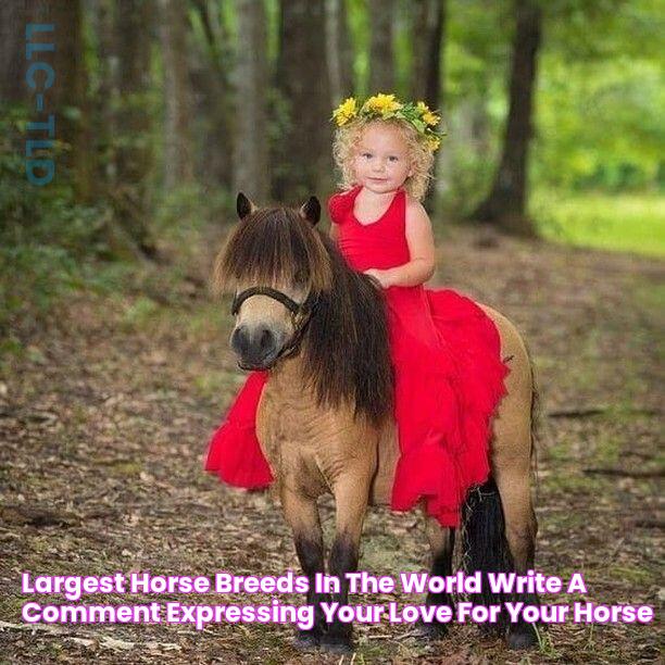 Largest Horse Breeds in the world Write a comment expressing your love for your horse