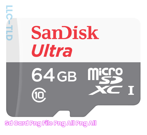 SD Card PNG File PNG All PNG All