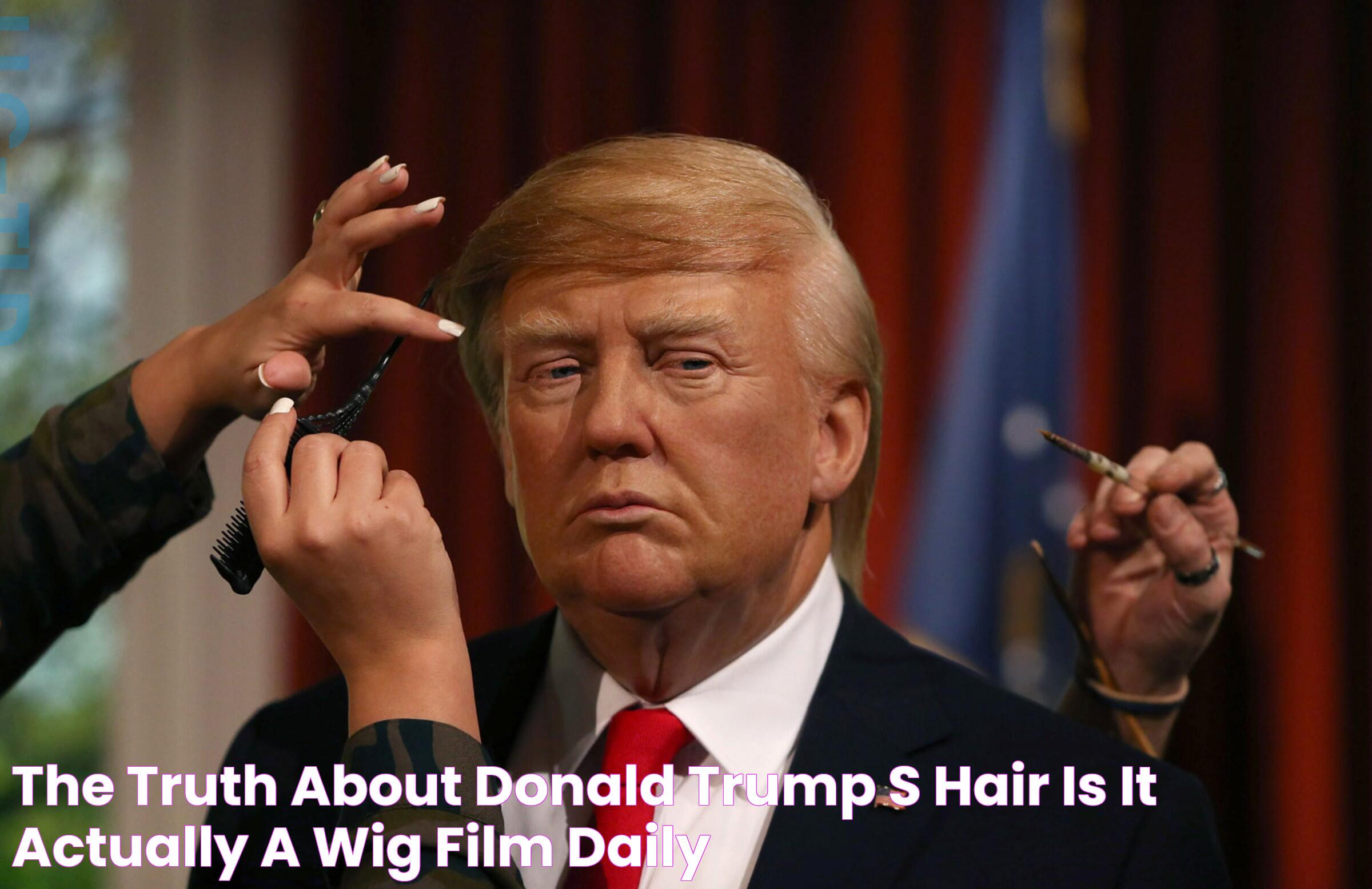 The truth about Donald Trump's hair Is it actually a wig? Film Daily