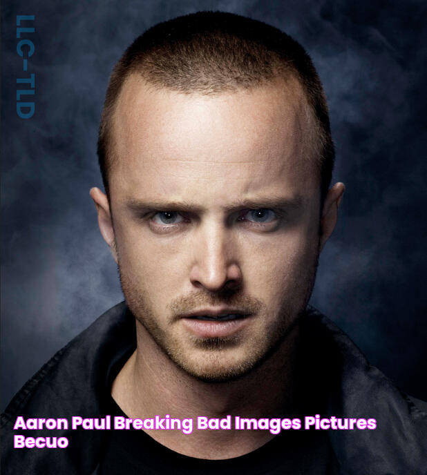 Aaron Paul Breaking Bad Images & Pictures Becuo