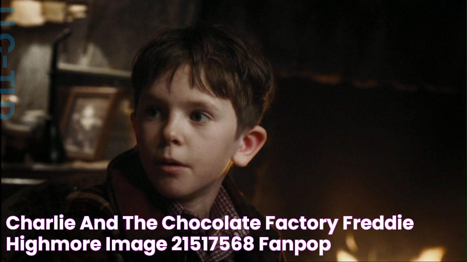 Charlie and the Chocolate Factory Freddie Highmore Image (21517568) Fanpop