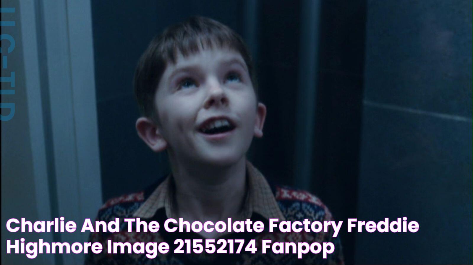 Charlie and the Chocolate Factory Freddie Highmore Image (21552174) Fanpop