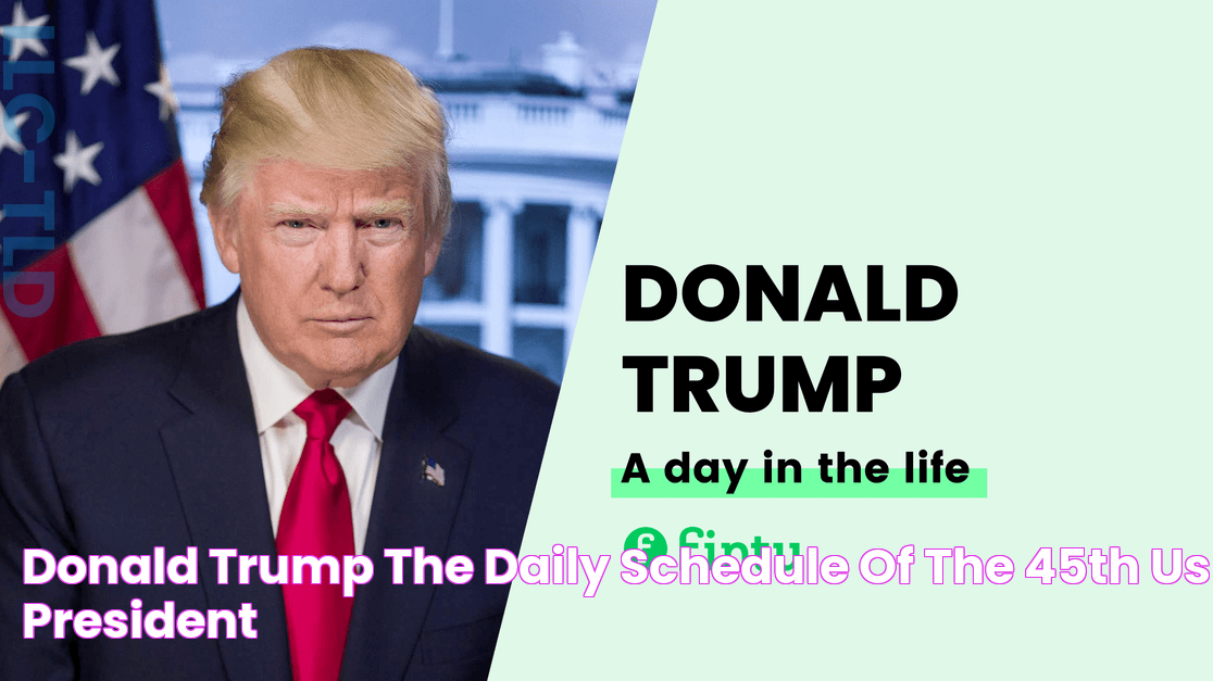 Donald Trump The Daily Schedule of the 45th US President