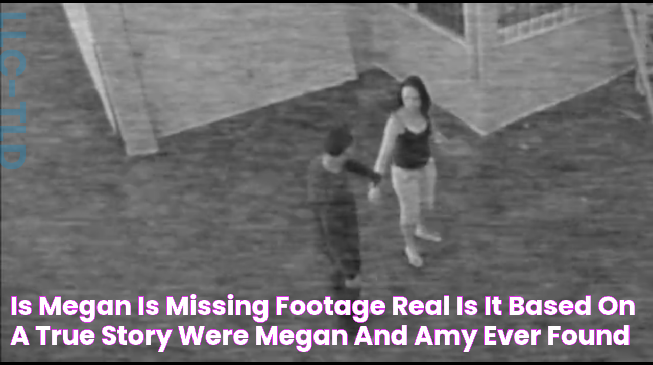 Is Megan is Missing Footage Real? Is it Based on a True Story? Were Megan and Amy Ever Found?