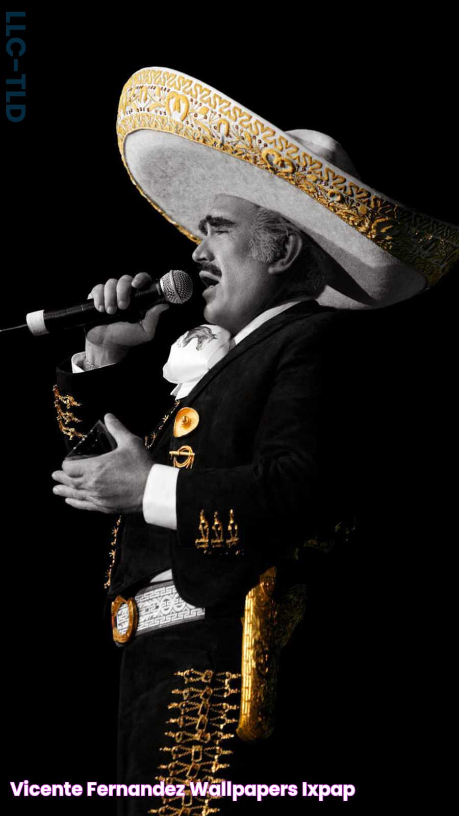 Vicente Fernandez Wallpapers iXpap