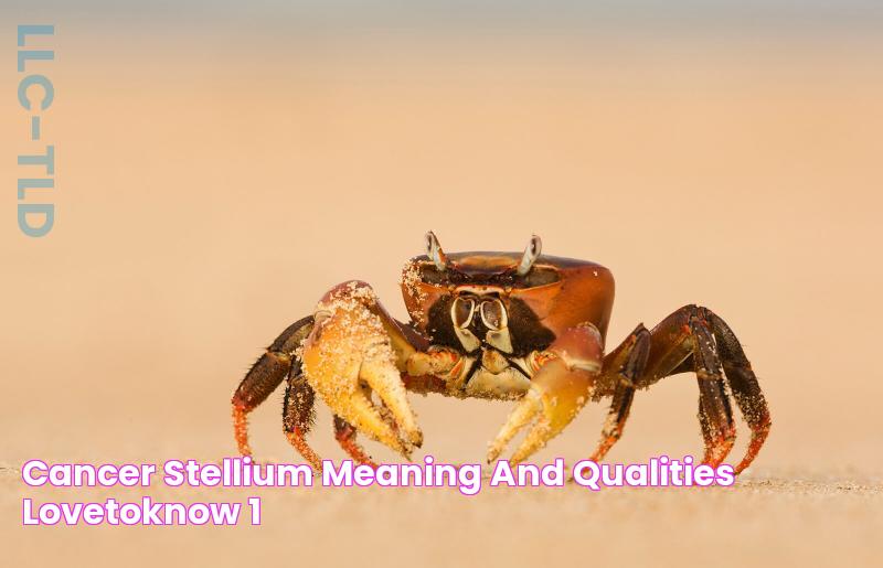 Cancer Stellium Meaning and Qualities LoveToKnow