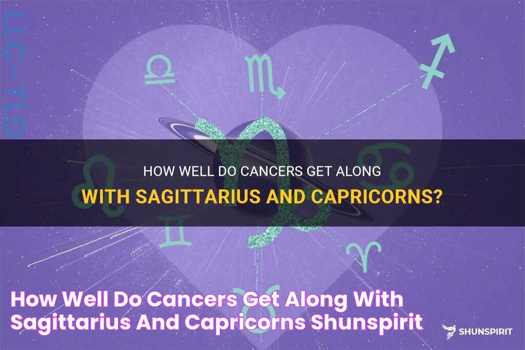 How Well Do Cancers Get Along With Sagittarius And Capricorns? ShunSpirit