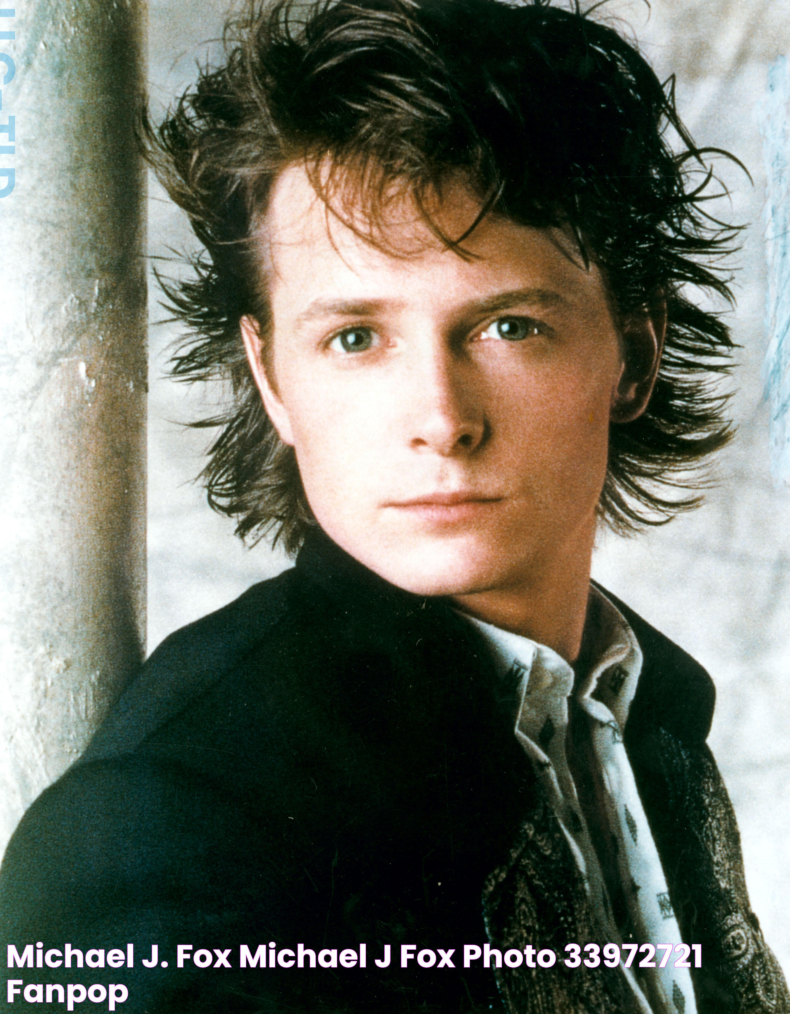 Michael J. Fox Michael J Fox Photo (33972721) Fanpop