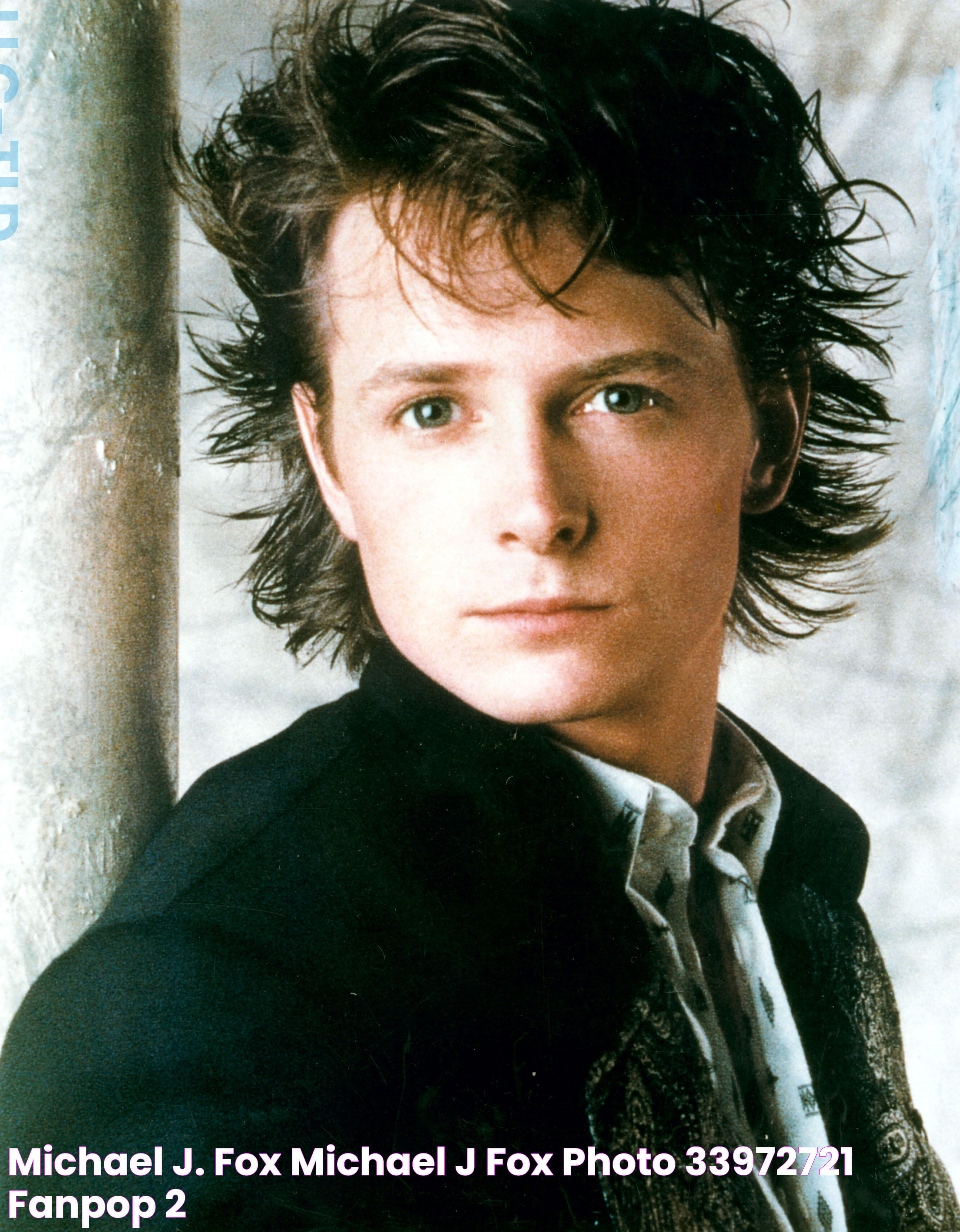 Michael J. Fox Michael J Fox Photo (33972721) Fanpop