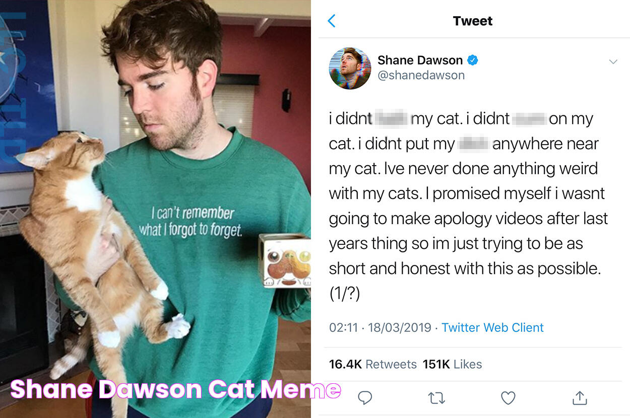 Shane Dawson Cat Meme